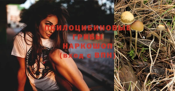 мяу мяу кристалл Горняк